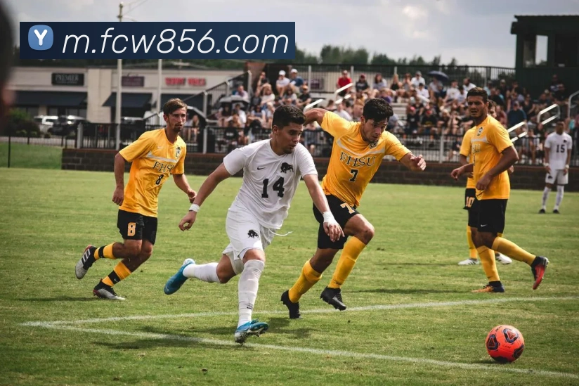 福彩网APP 封面图